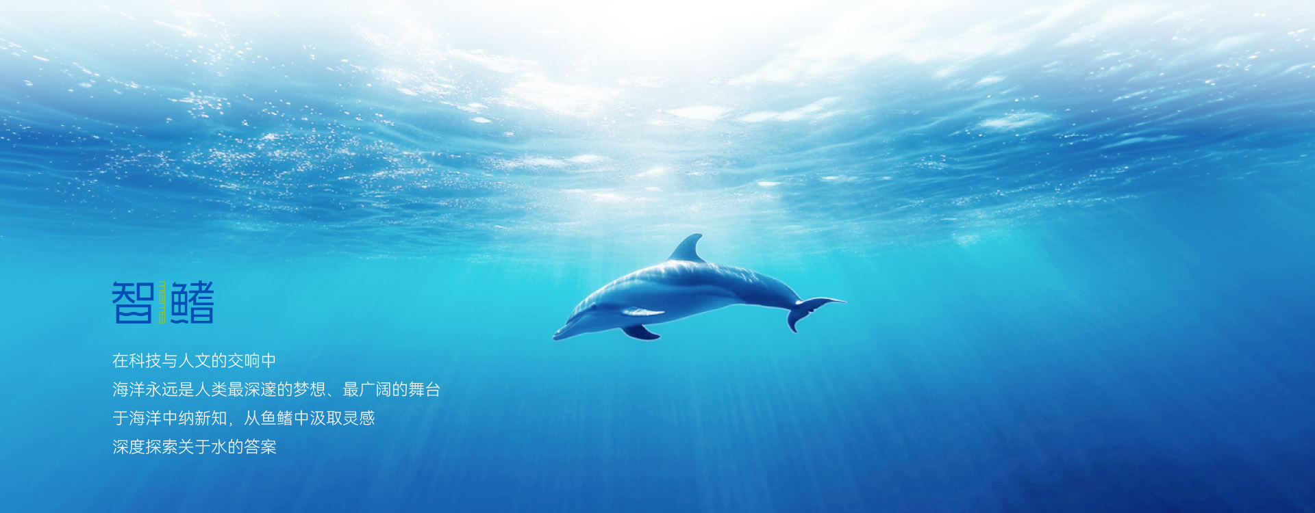 技术平台